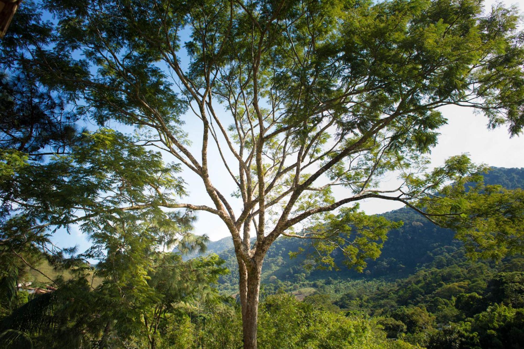 Pousada Cascata Casimiro de Abreu Phòng bức ảnh